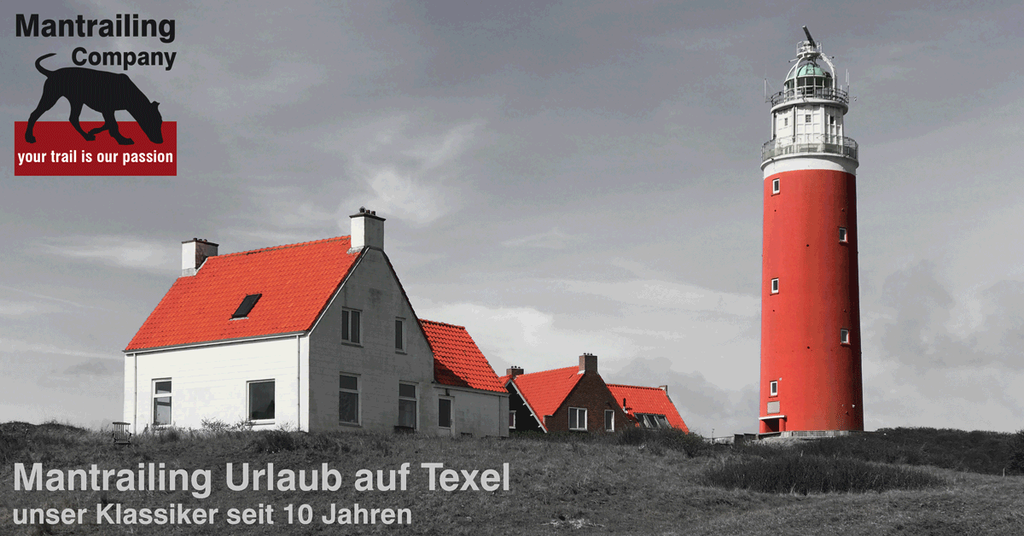 Texel no date free