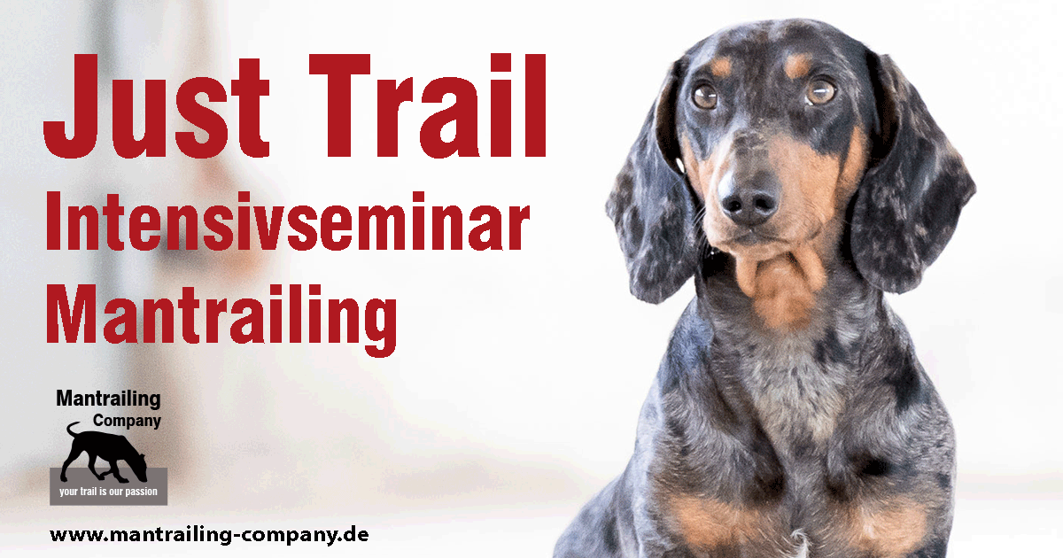 JustTrail