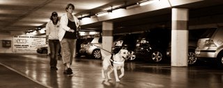 K-9 Suchhundezentrum inline small (1)
