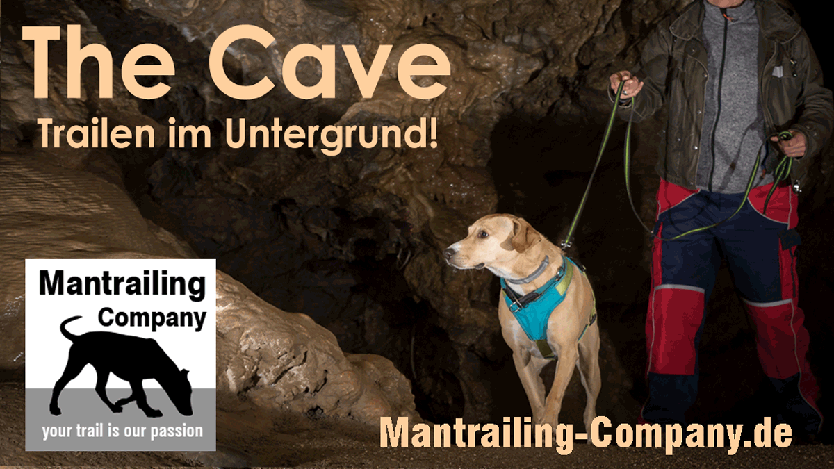 The Cave 2022